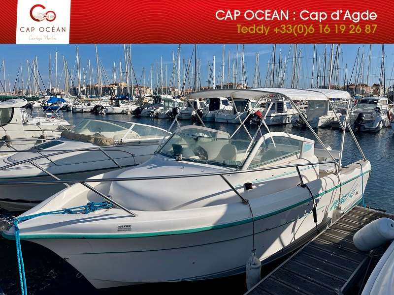 Ocqueteau ABACO 20