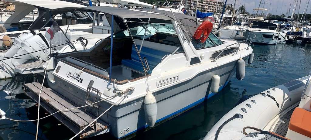 Sea Ray SEA RAY 300
