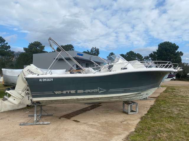 White Shark WHITE SHARK 228