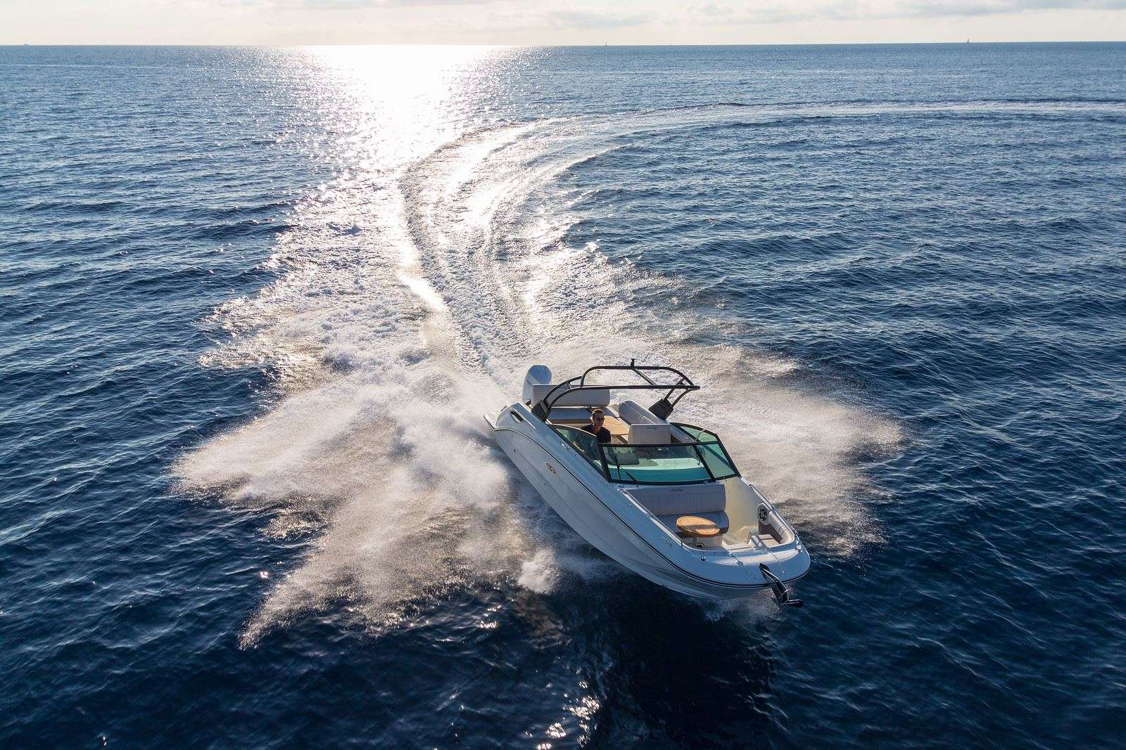 Sea Ray SEA RAY 250 SDX
