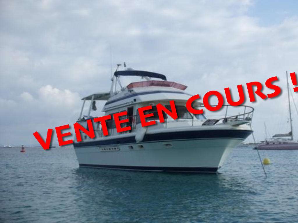 TARQUIN TRADER 44