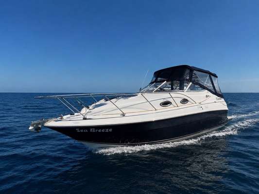 2005 Larson 240 CABRIO - Photo 1