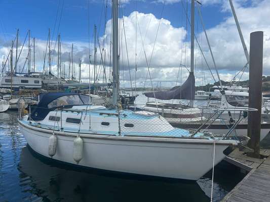 1980 Westerly WESTERLY 26 GRIFFON