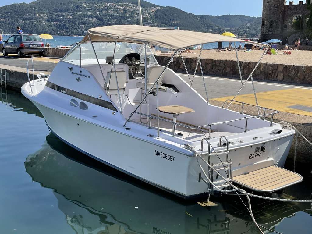 Bertram BERTRAM 25 SF