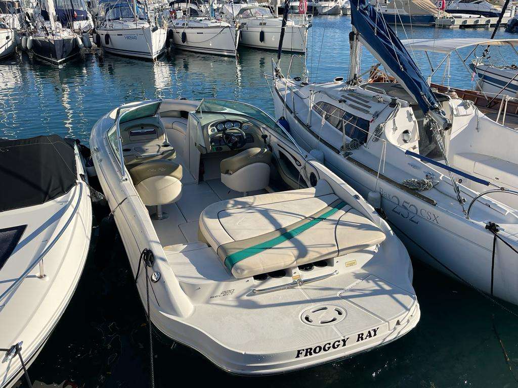Sea Ray SEA RAY 220 SELECT