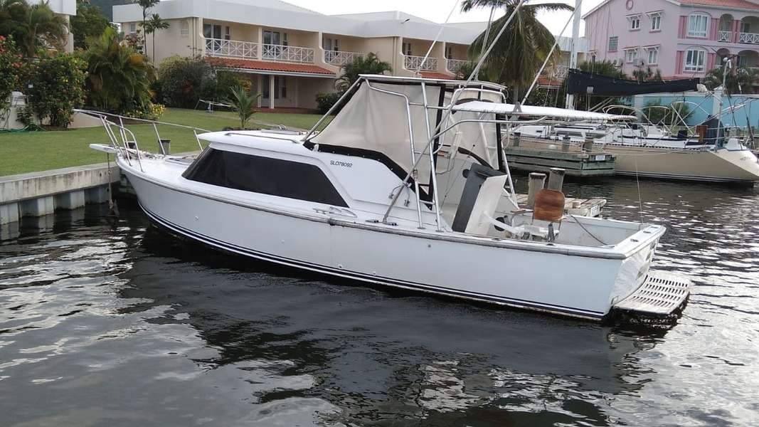 1974-bertram-31-for-sale-saint-lucia-43-000