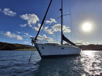 Barca a vela JEANNEAU SUN ODYSSEY 45.2 usato Martinica